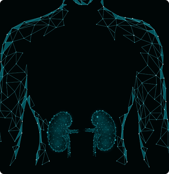 نفرولوژی / دیالیز